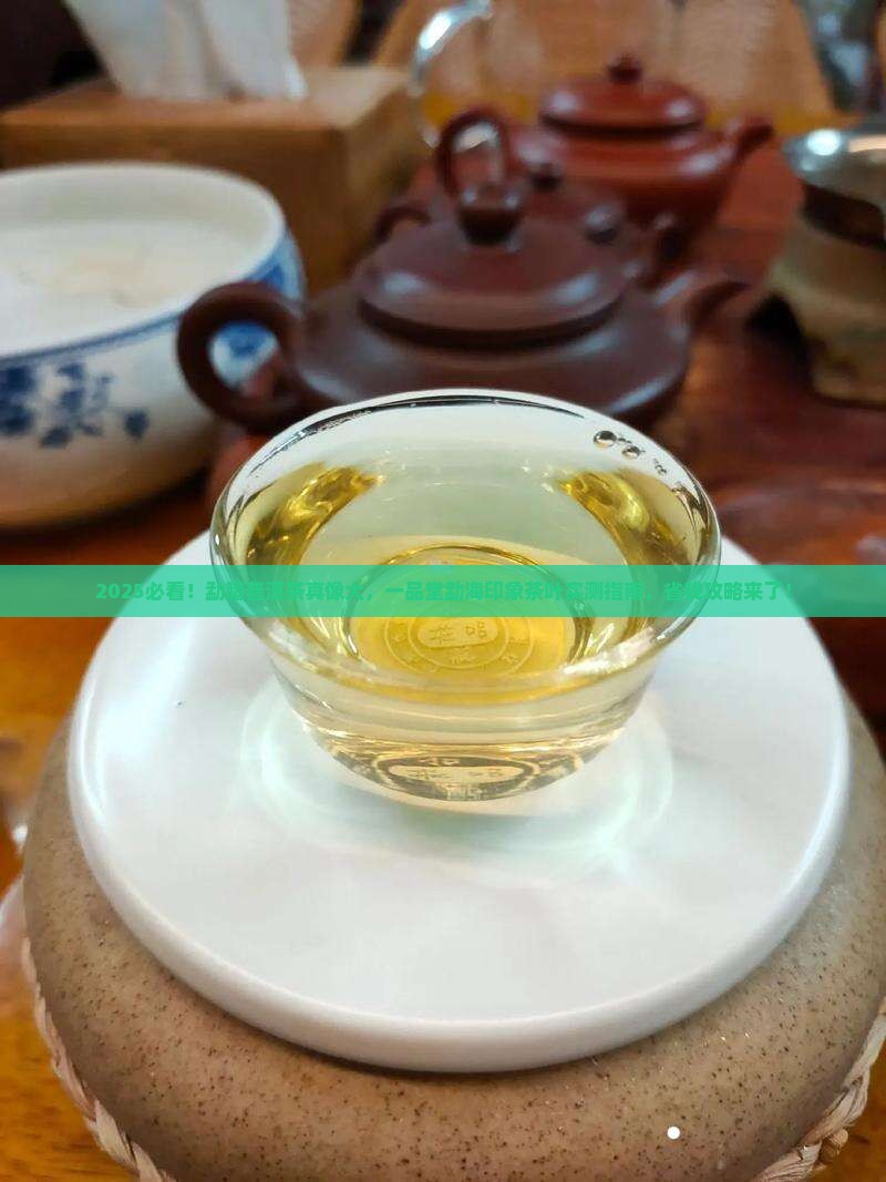 勐腊普洱茶一品堂勐海印象茶叶