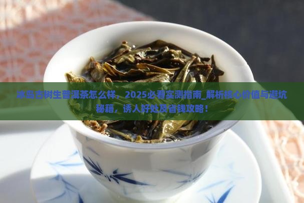 冰岛古树生普洱茶怎么样