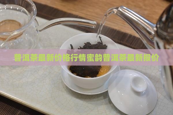 普洱茶最新价格行情蜜韵