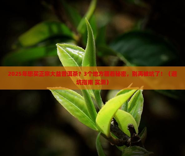 大益普洱茶专卖店在哪里