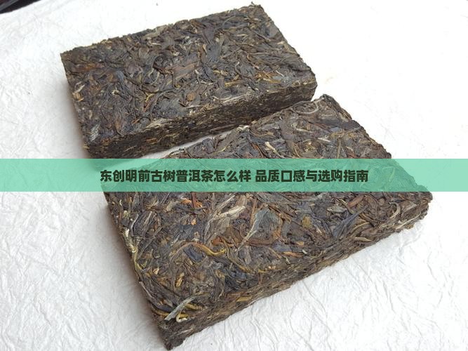 东创明前古树普洱茶怎么样