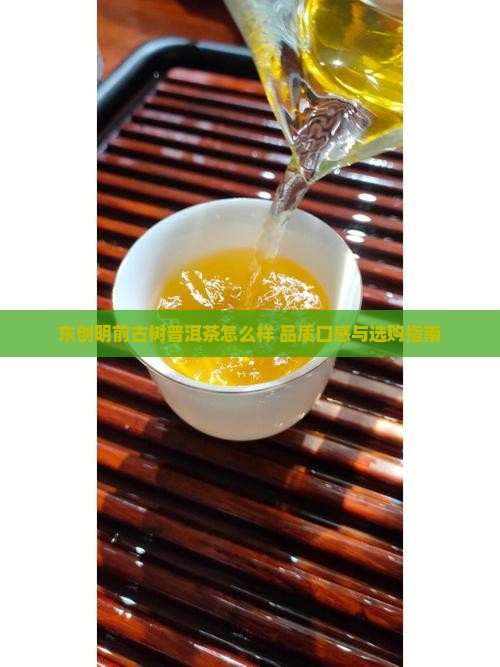 东创明前古树普洱茶怎么样