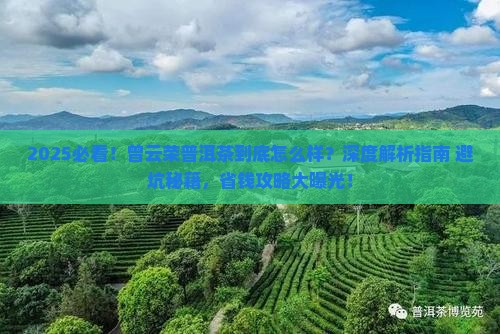 曾云荣普洱茶怎样