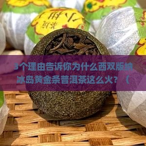 西双版纳冰岛黄金条普洱茶