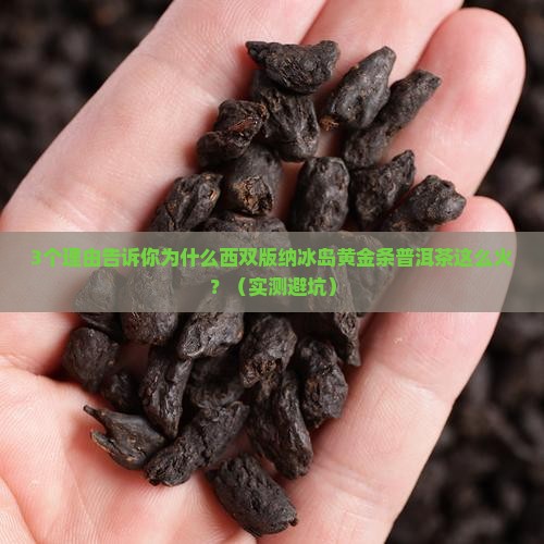 西双版纳冰岛黄金条普洱茶