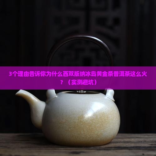 西双版纳冰岛黄金条普洱茶