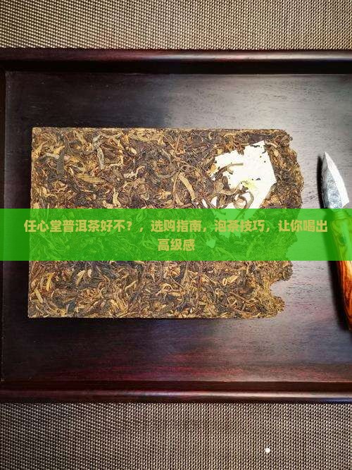 任心堂普洱茶好不 任心堂普洱茶好不