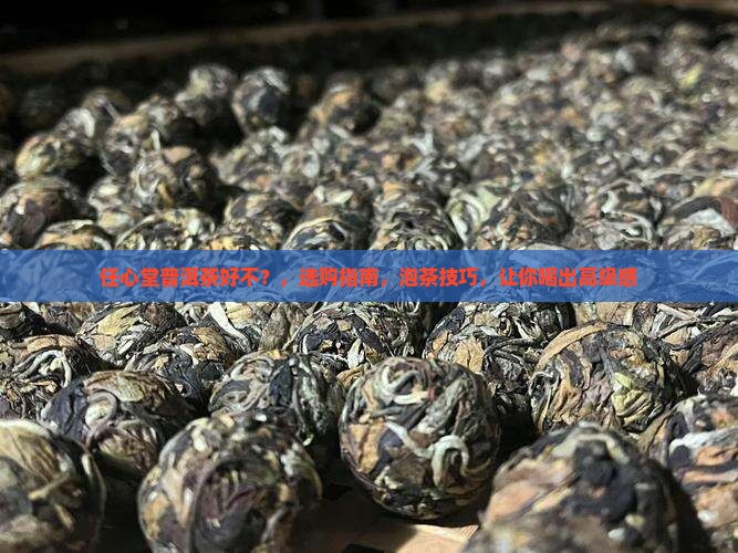任心堂普洱茶好不 任心堂普洱茶好不