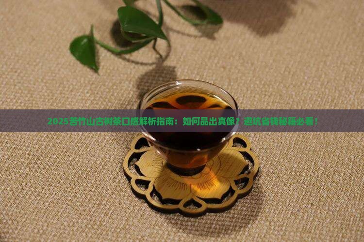 苦竹山古树茶口感特点