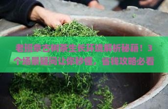 老班章古树茶的生长环境