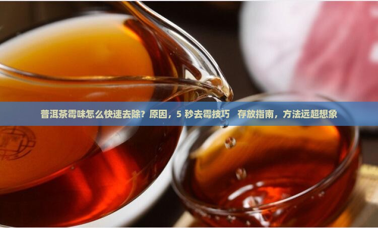 普洱茶霉味怎么快速去除