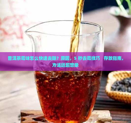 普洱茶霉味怎么快速去除