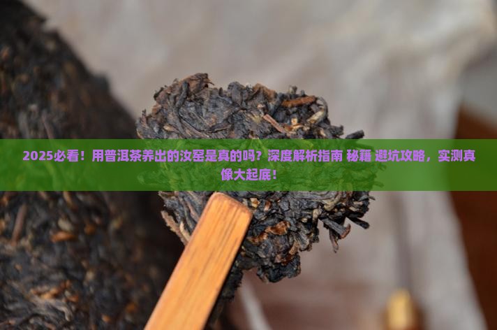 用普洱茶养出的汝窑
