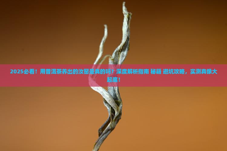 用普洱茶养出的汝窑