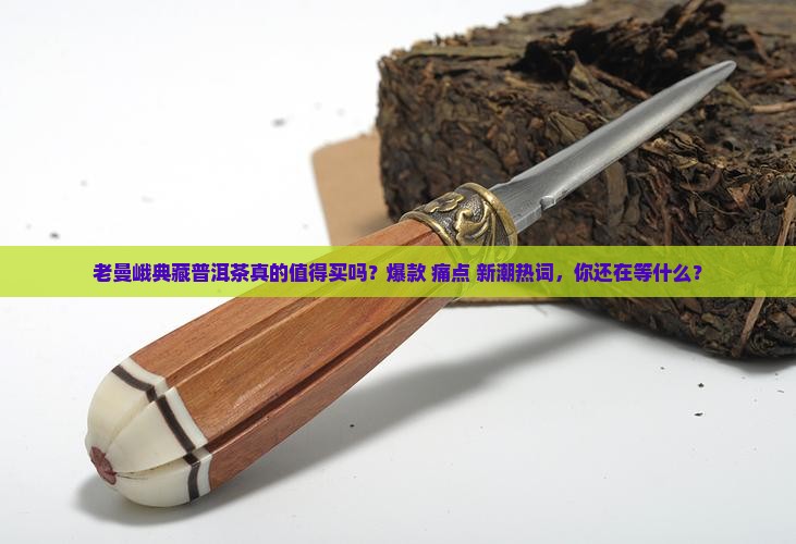 老曼峨典藏普洱茶