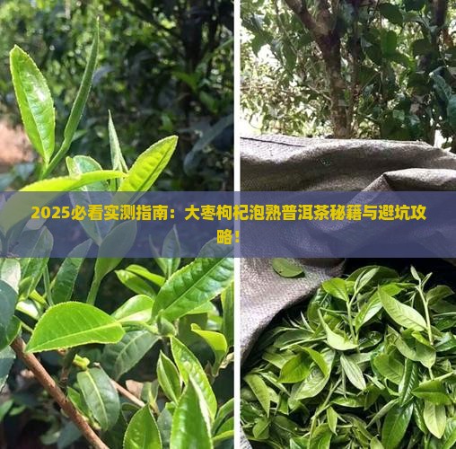 大枣枸杞泡熟普洱茶