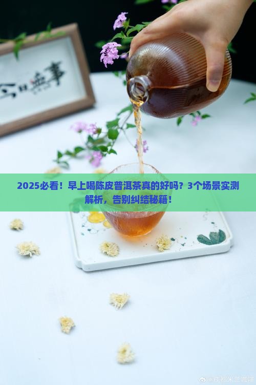 陈皮普洱茶早上喝好吗