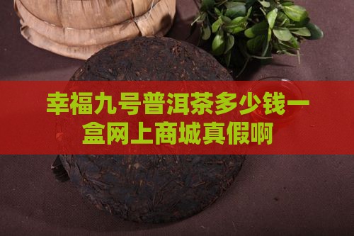 幸福九号普洱茶多少钱