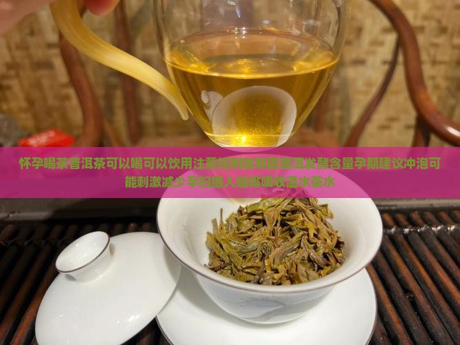 怀孕能喝茶普洱茶