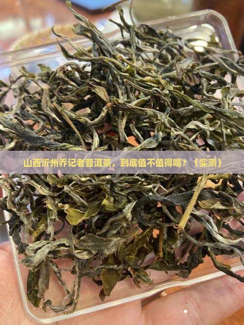 山西沂州乔记老普洱茶