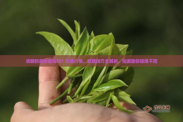 清朝的茶叶值钱吗