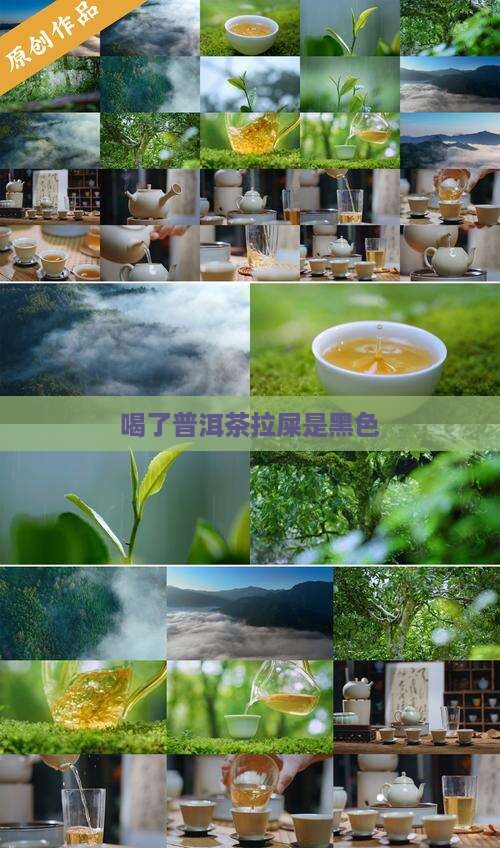 喝了普洱茶拉屎是黑色 喝了普洱茶拉屎是黑色