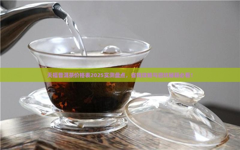 天福普洱茶价格表