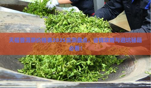 天福普洱茶价格表