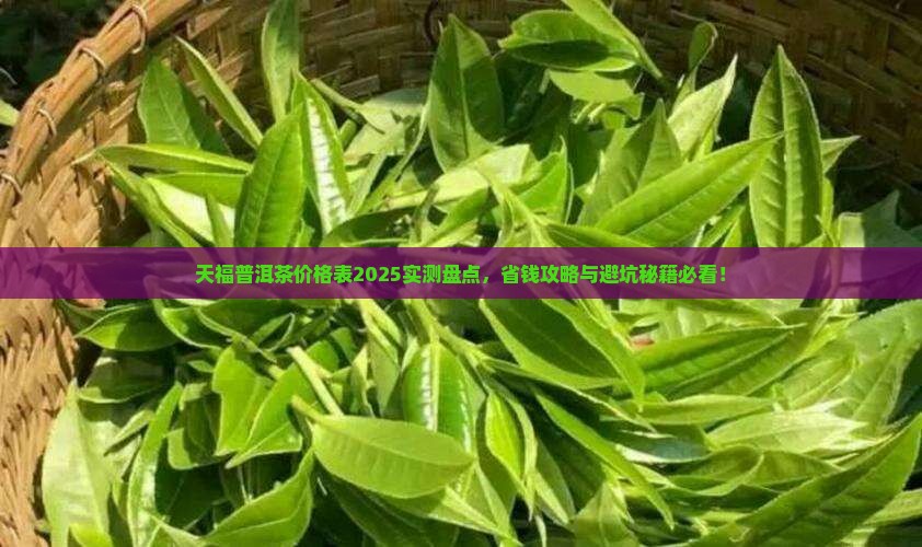 天福普洱茶价格表