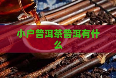 普洱茶小户赛还有什么 普洱茶小户赛还有什么