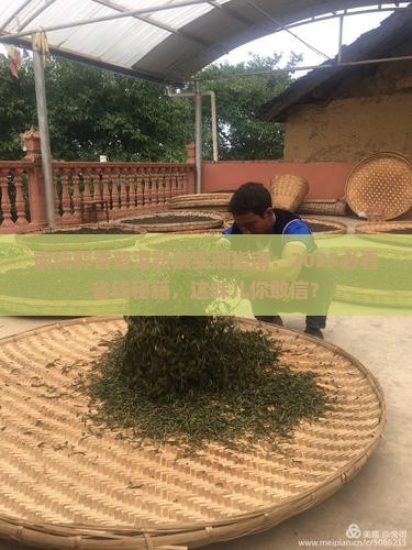 南糯醇香普洱茶熟茶