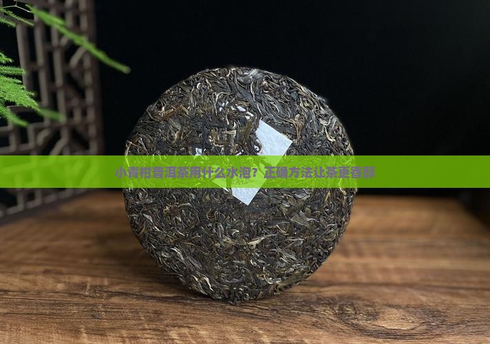 小青柑普洱茶用什么水泡