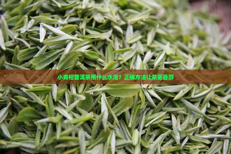 小青柑普洱茶用什么水泡