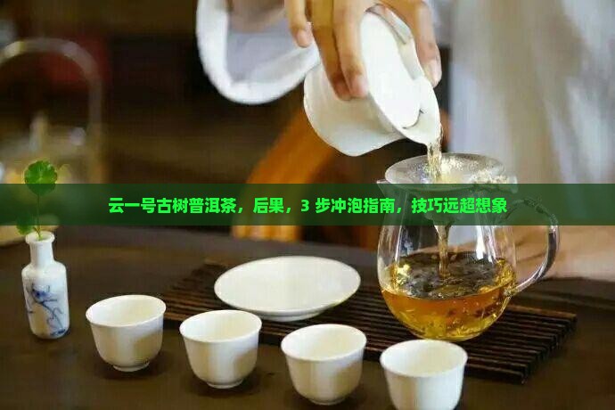 云一号古树普洱茶