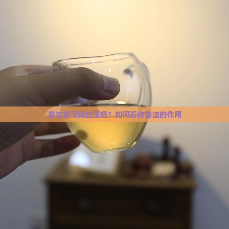 普洱茶可降血压吗以