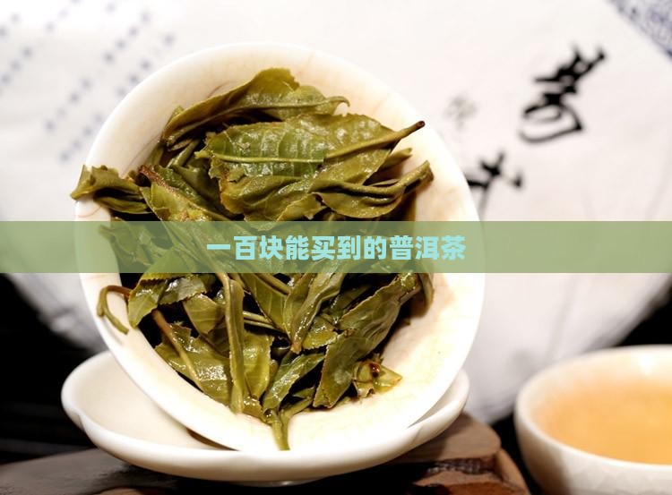 100多块钱老普洱茶