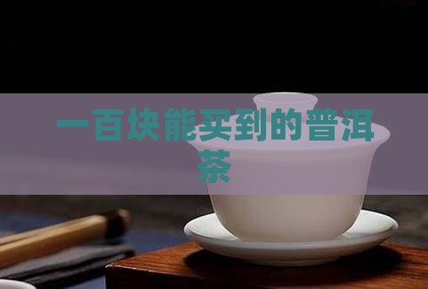 100多块钱老普洱茶