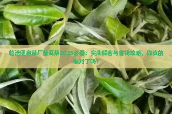 临沧健身茶厂普洱茶