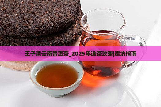 王子清云南普洱茶