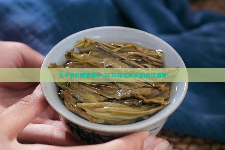王子清云南普洱茶