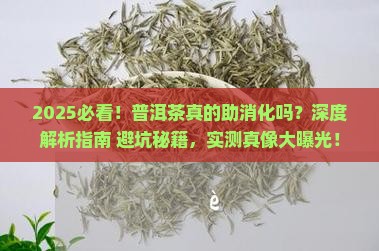 普洱茶与消化的关系