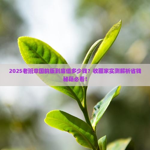 国韵老班章什么价格