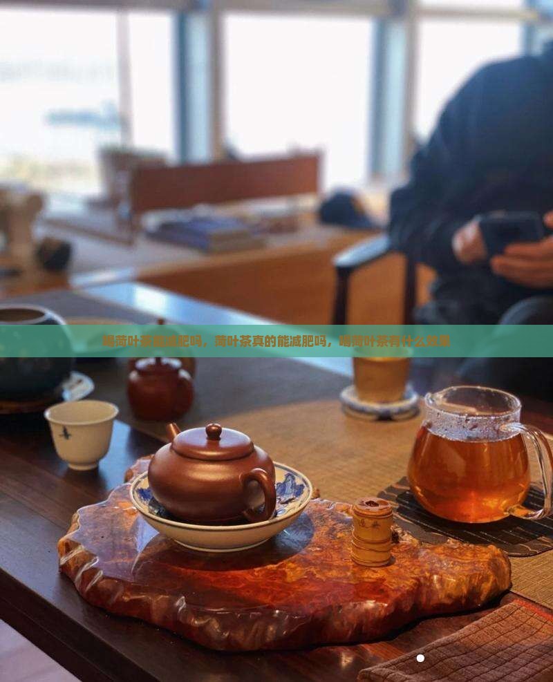 喝菏叶茶能减肥吗