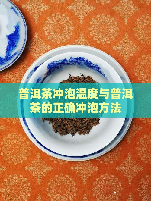 普洱喝茶冲泡温度