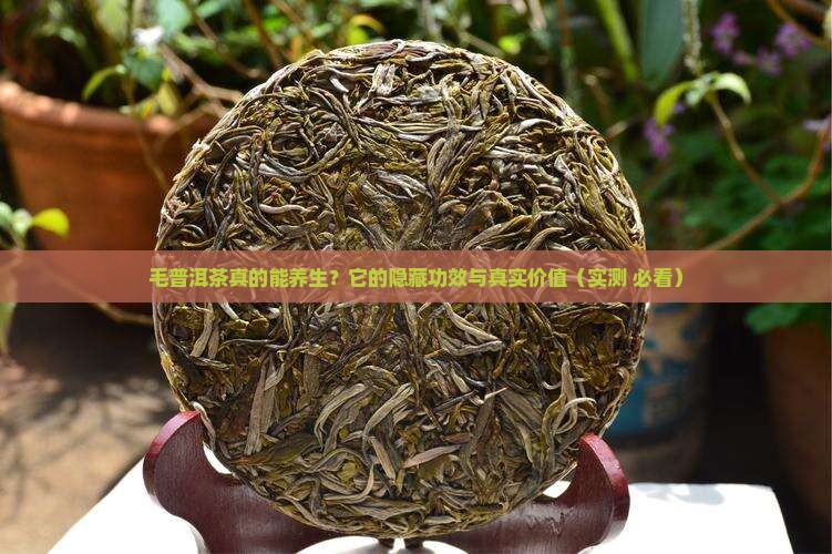 毛普洱茶的功效