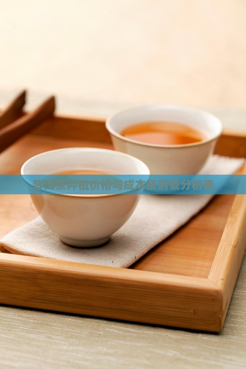 普洱茶种植价格