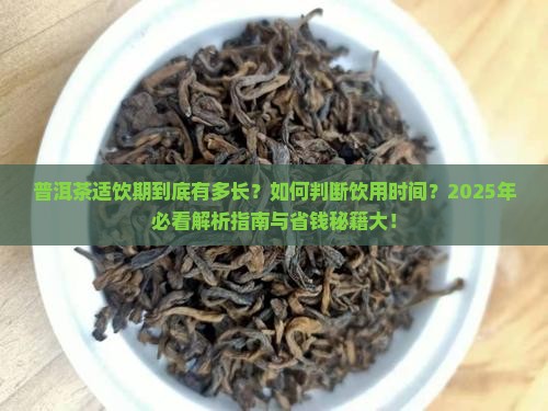 普洱茶的适饮期