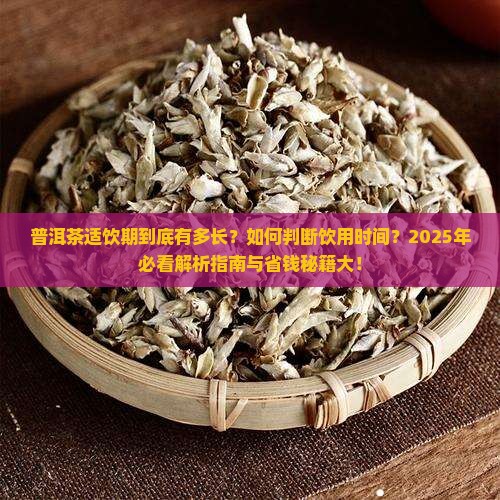 普洱茶的适饮期