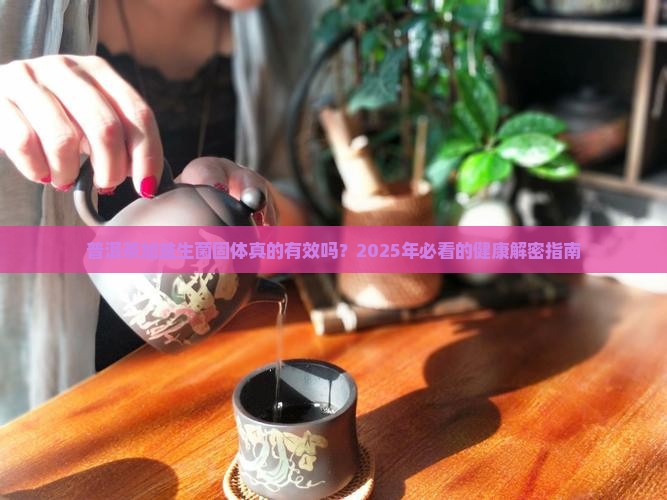 普洱茶加益生菌固体