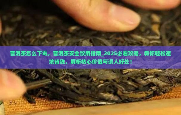 普洱茶怎么下毒 普洱茶怎么下毒
